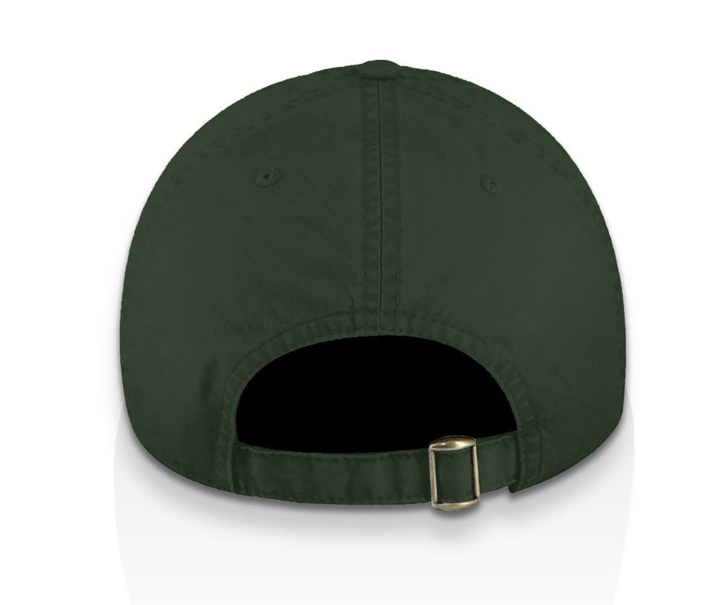 Beyond the Ice – Vintage Airship Bio-Washed Dad Hat