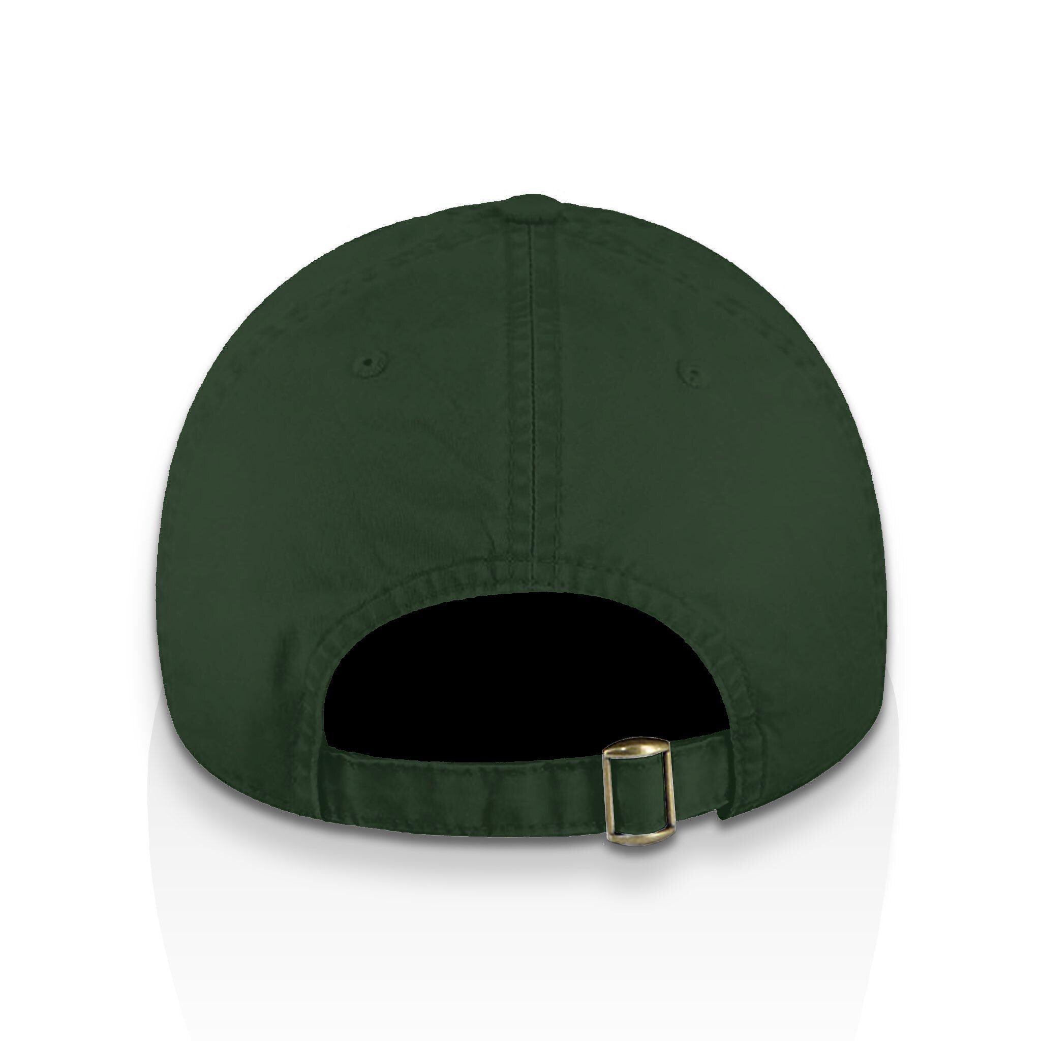 The Snowed-Out Truth | Bio-Washed Dad Hat